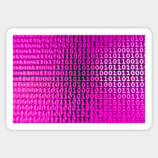 Binary Numbers, Computer Talk, Pink Sticker
